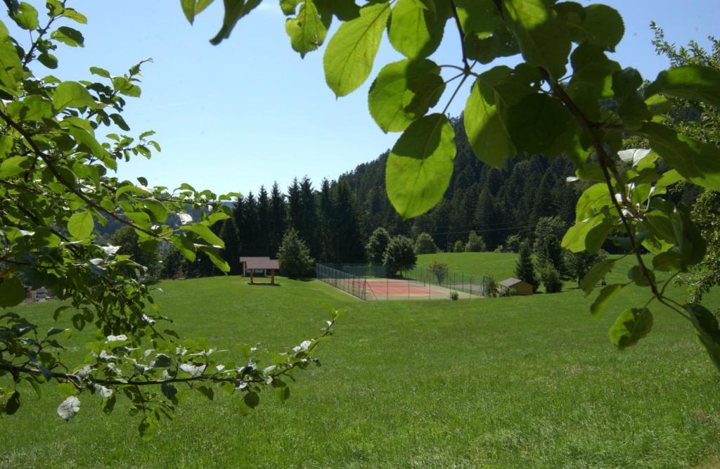 Schwarzwald-resort Roessle 4* Todtmoos
